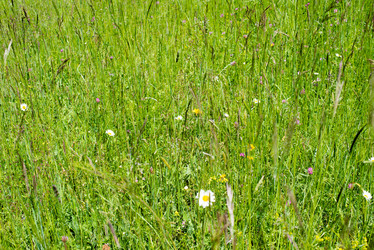 Similar image 2870909