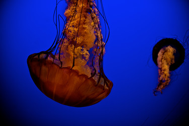 Similar image 2871072