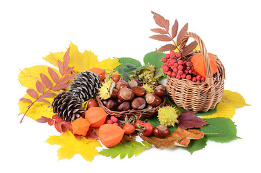 Similar image 2871146