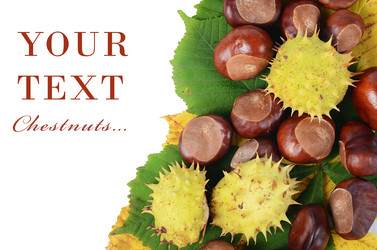 Similar image 2871147