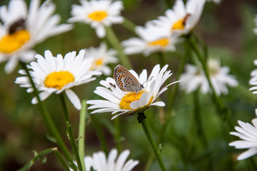 Similar image 2871173