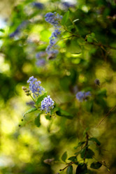 Similar image 2871180