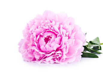 Similar image 2871191