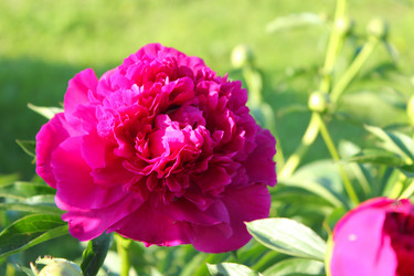 Similar image 2871194