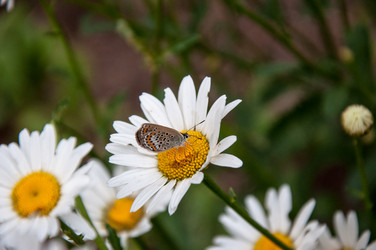 Similar image 2871195