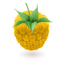 Similar image 2871208