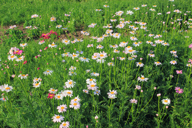 Similar image 2871241