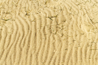 Similar image 2871429