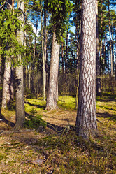 Similar image 2871435