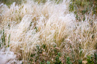 Similar image 2871525