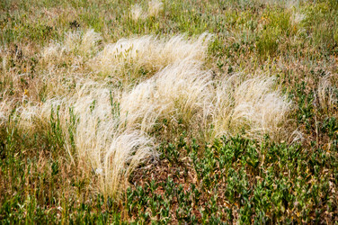 Similar image 2871526