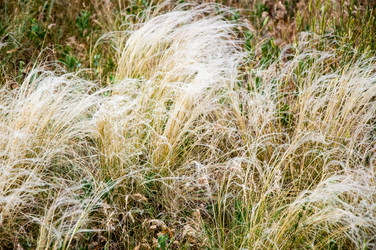 Similar image 2871529