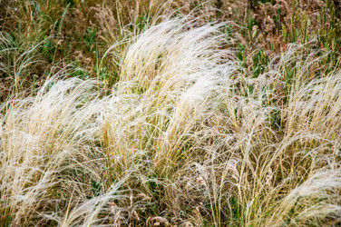 Similar image 2871531