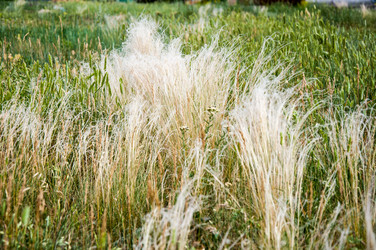 Similar image 2871534