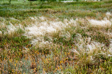 Similar image 2871536