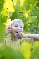 Similar image 2871559