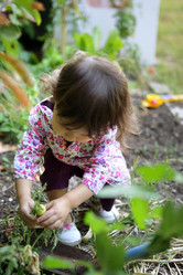 Similar image 2871652