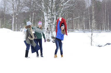 Similar image 2871961