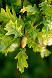 Similar image 2872060