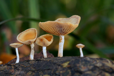 Similar image 2872061