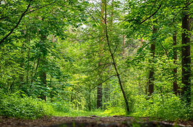 Similar image 2872082