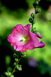 Similar image 2872102