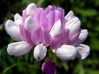 Similar image 2872103