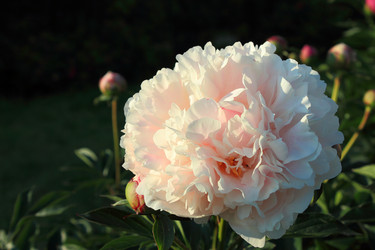 Similar image 2872118