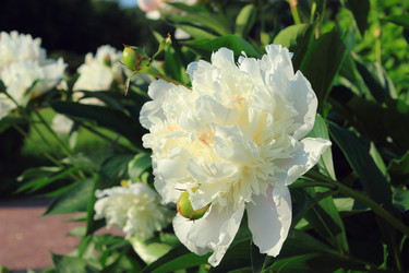 Similar image 2872119