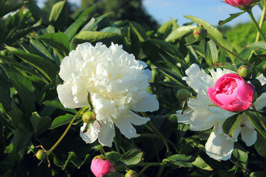 Similar image 2872120