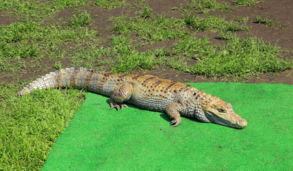 Similar image 2872122