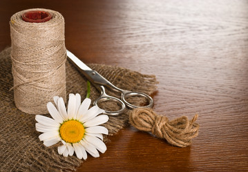 Similar image 2872130