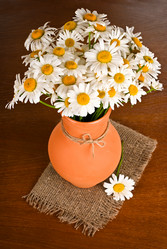 Similar image 2872132