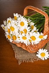 Similar image 2872137