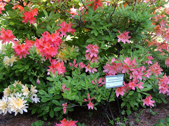 Similar image 2872149