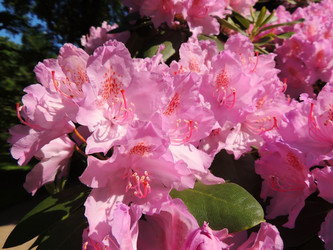 Similar image 2872150