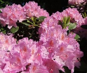 Similar image 2872151