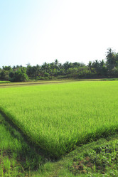 Similar image 2872174