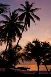 Similar image 2872178