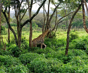 Similar image 2872206