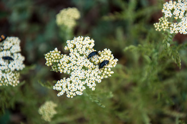 Similar image 2872246