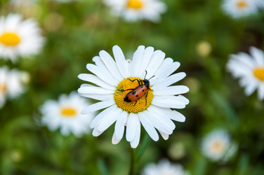 Similar image 2872247