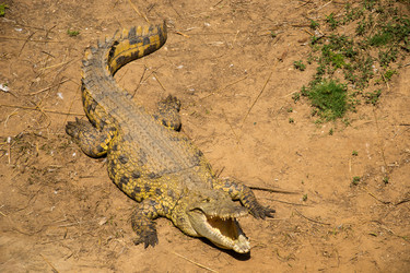 Similar image 2872249