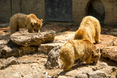 Similar image 2872250