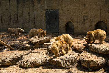 Similar image 2872251