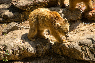 Similar image 2872252