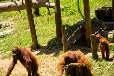 Similar image 2872254