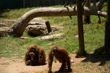 Similar image 2872255