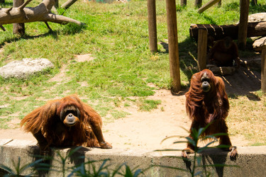 Similar image 2872256