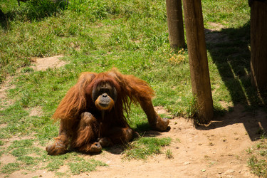 Similar image 2872258